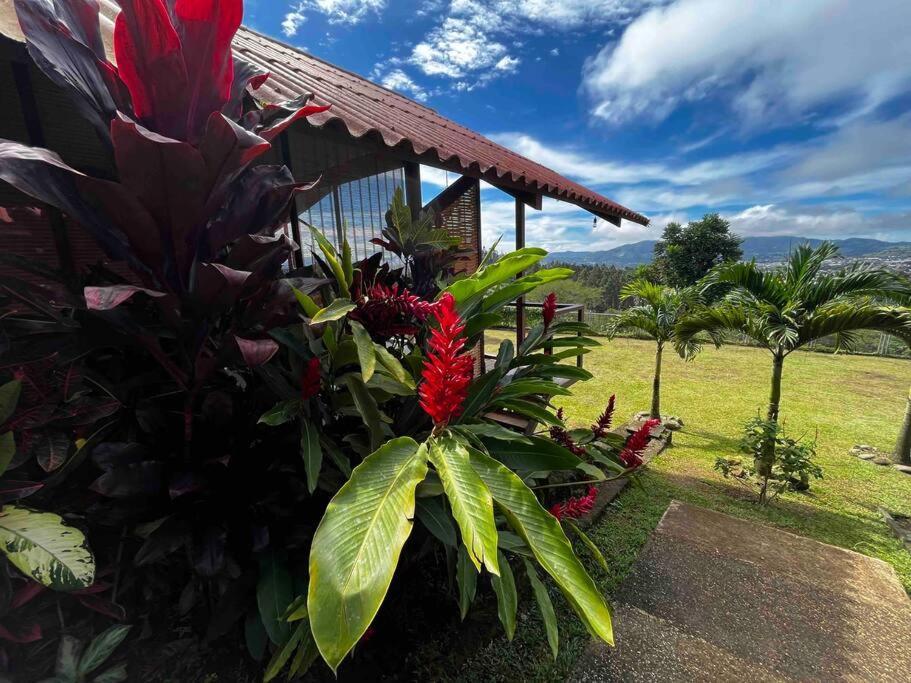 Chalet Zen Bella Vista San Juan  外观 照片